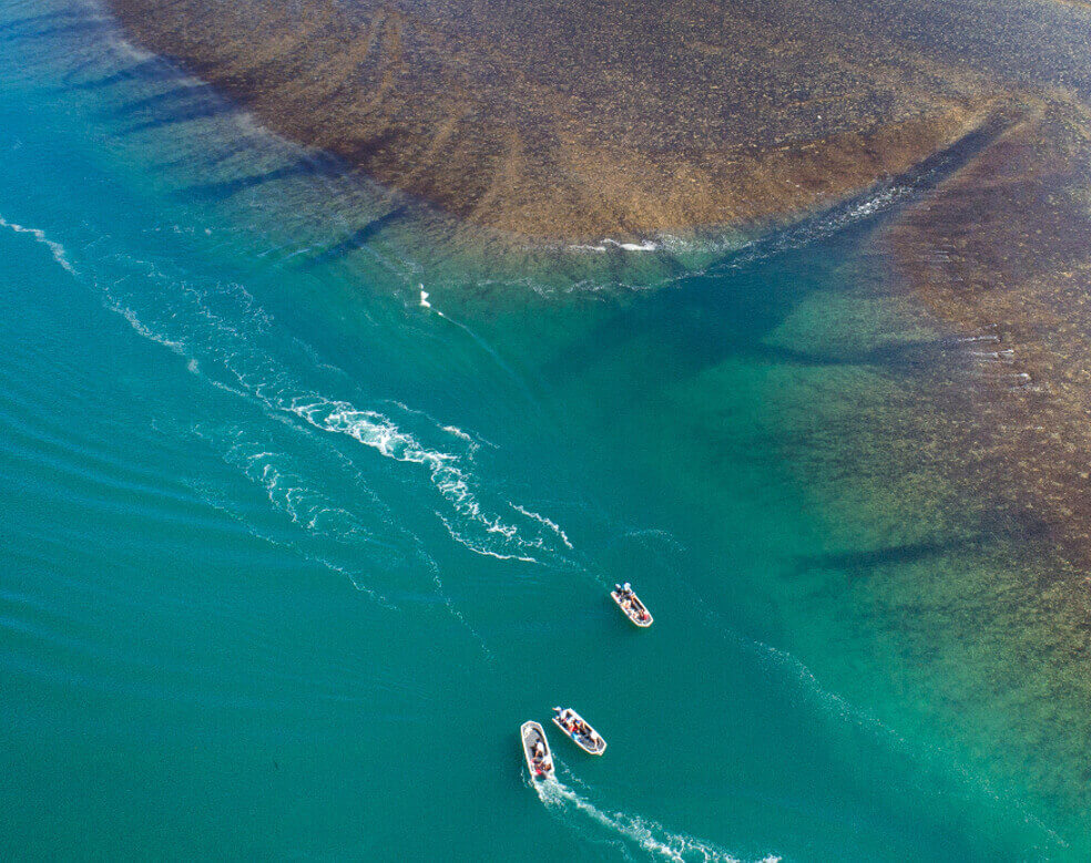 montgomery reef